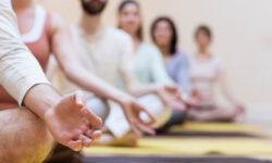 Quel est le lien entre la méditation et la performance collective ?